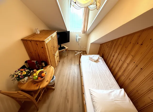 Classic Single Room - Alpine Comfort with large window and comfortable bed